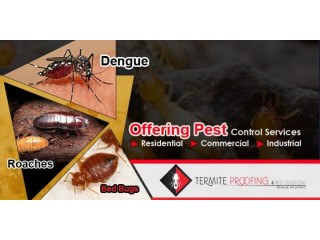 Termite Proofing and Pest Solutions - Pest Control